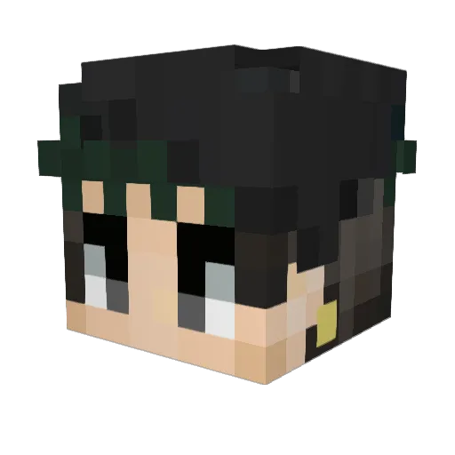 seAvocado Minecraft avatar head, 3D render