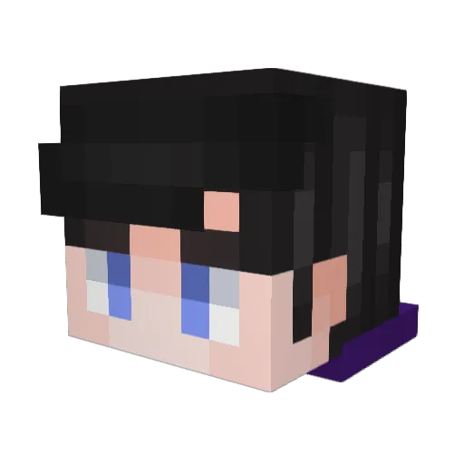sea_cucumber Minecraft avatar head, 3D render