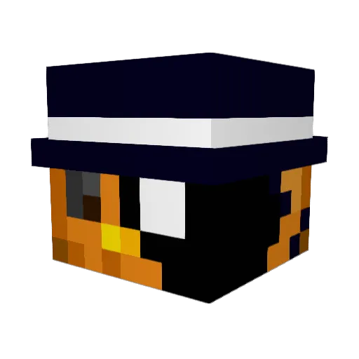 sea_puma Minecraft avatar head, 3D render