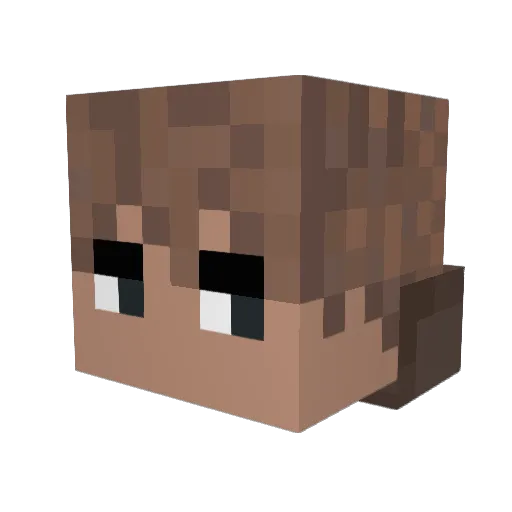 sea_wav Minecraft avatar head, 3D render