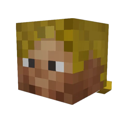 seacow23 Minecraft avatar head, 3D render