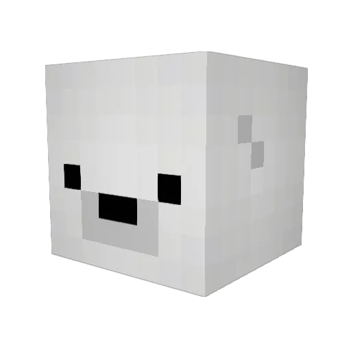 seadog40 Minecraft avatar head, 3D render