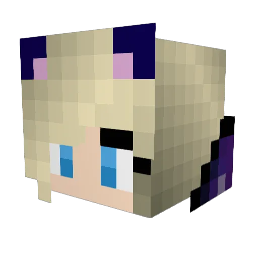 seagull13 Minecraft avatar head, 3D render