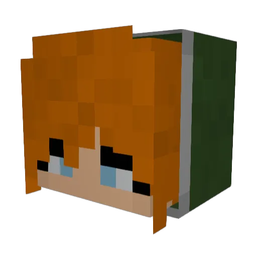 seagull_solvent Minecraft avatar head, 3D render