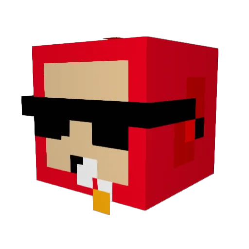 seagulltea Minecraft avatar head, 3D render