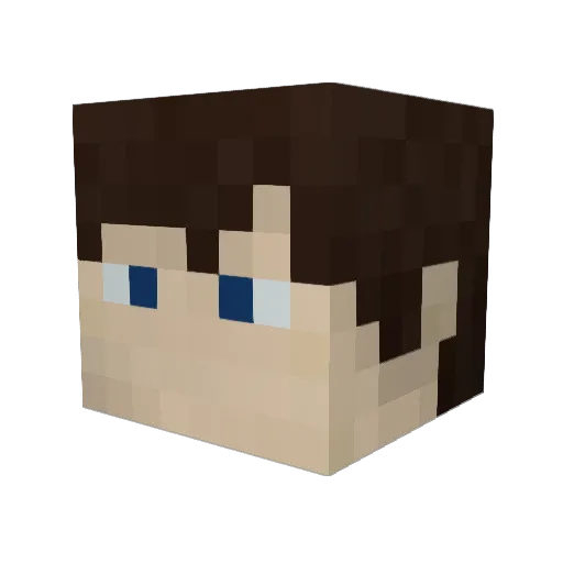 seahawk9999 Minecraft avatar head, 3D render