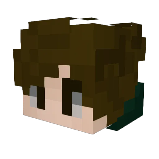 seahawk_2 Minecraft avatar head, 3D render