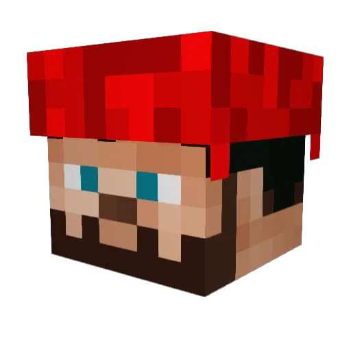 seahawk_man32 Minecraft avatar head, 3D render