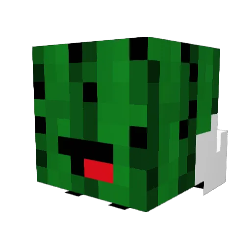 seahawks4561 Minecraft avatar head, 3D render
