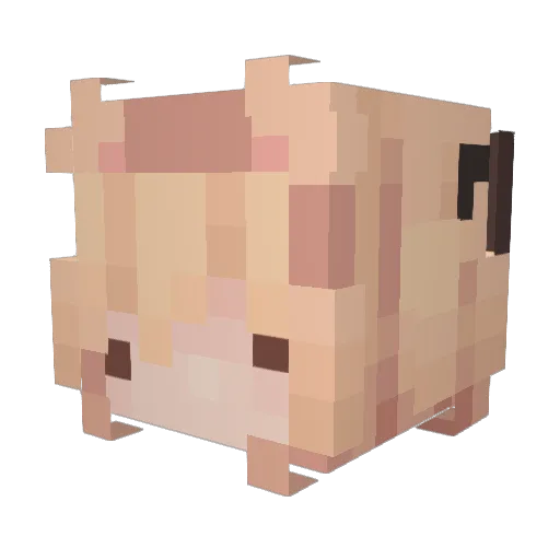 seal0uette Minecraft avatar head, 3D render