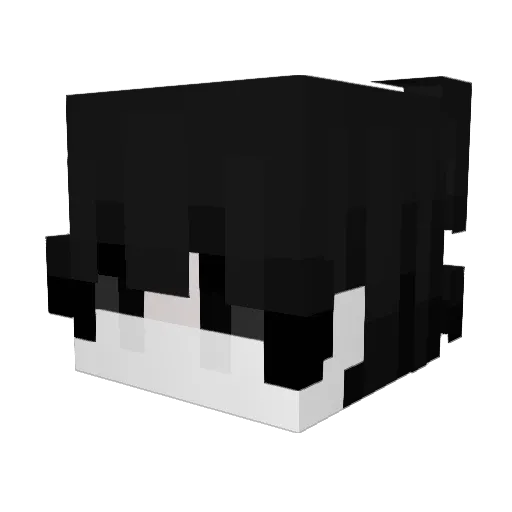 seal67 Minecraft avatar head, 3D render