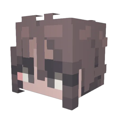 seal_0910 Minecraft avatar head, 3D render