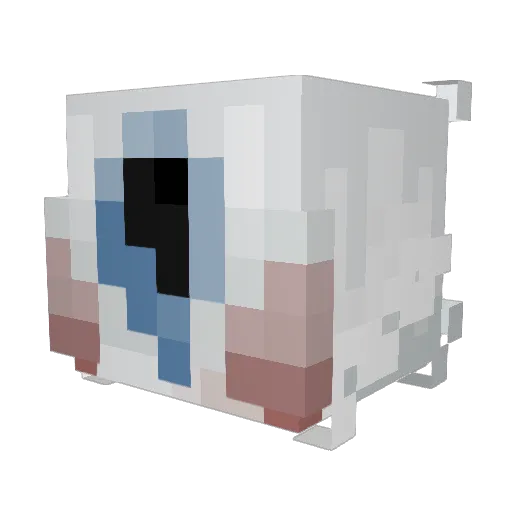 sealburz Minecraft avatar head, 3D render