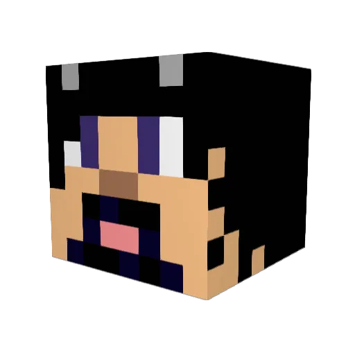 sealdude36912 Minecraft avatar head, 3D render