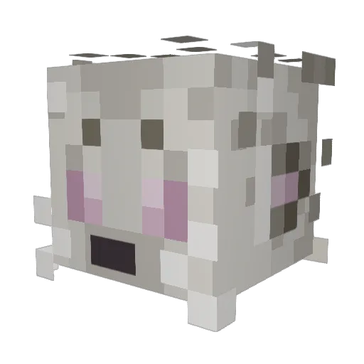 seallee Minecraft avatar head, 3D render