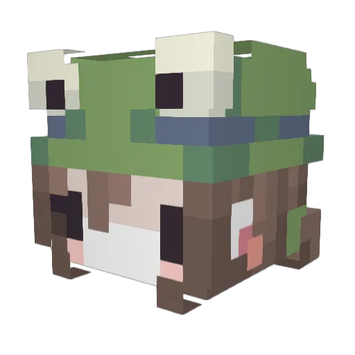 sealnoot Minecraft avatar head, 3D render
