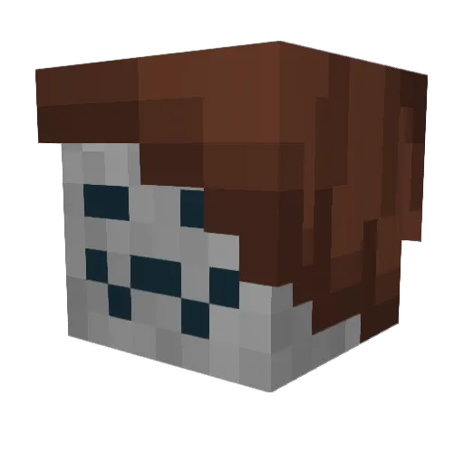 sealofinnocence Minecraft avatar head, 3D render