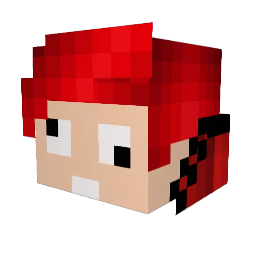 sealpuncher Minecraft avatar head, 3D render