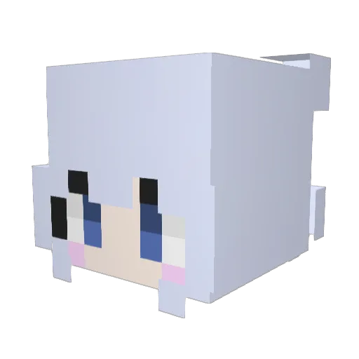 sealpup4 Minecraft avatar head, 3D render