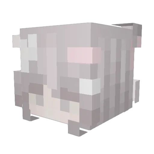 sealy_au Minecraft avatar head, 3D render