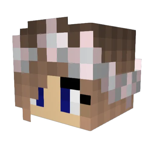 seamonkey123 Minecraft avatar head, 3D render