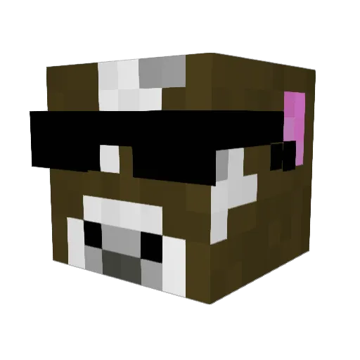 seamus2001 Minecraft avatar head, 3D render