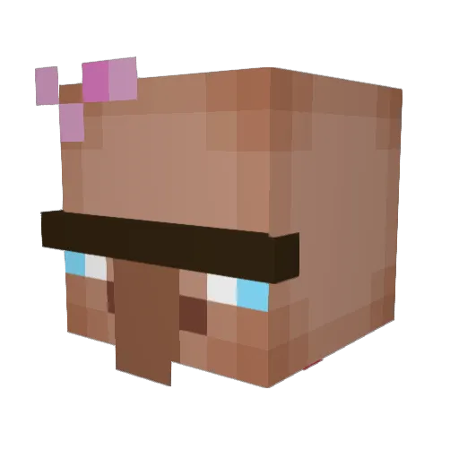 sean1172 Minecraft avatar head, 3D render