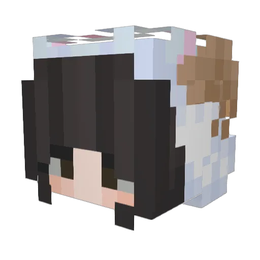 sean_210 Minecraft avatar head, 3D render