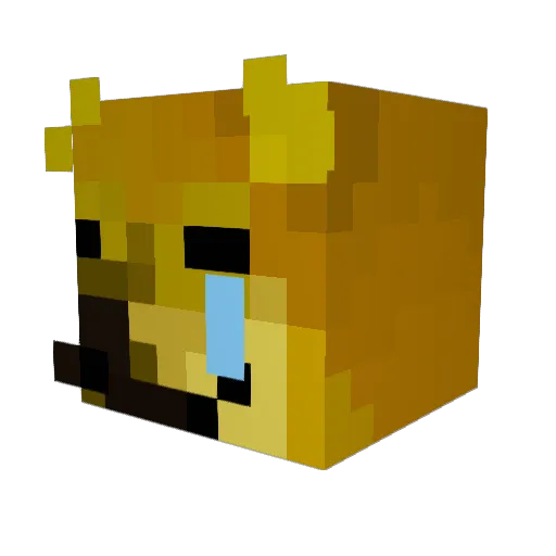 seancanshoot Minecraft avatar head, 3D render