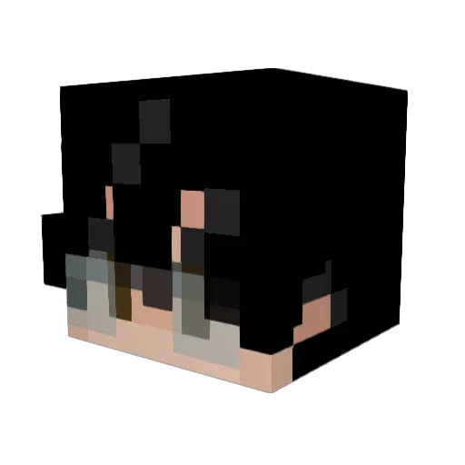 seanhasfunandfun Minecraft avatar head, 3D render