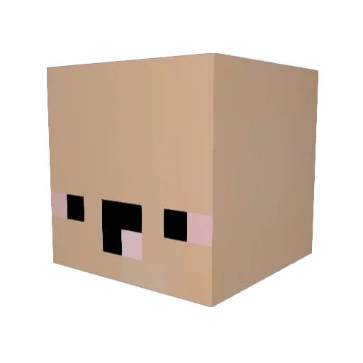 seaniboy1121 Minecraft avatar head, 3D render
