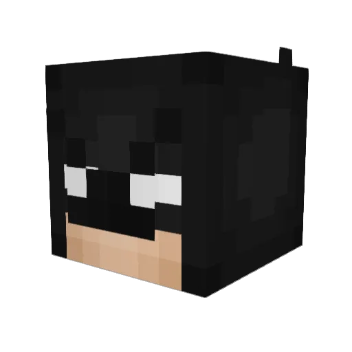 seanm2202 Minecraft avatar head, 3D render