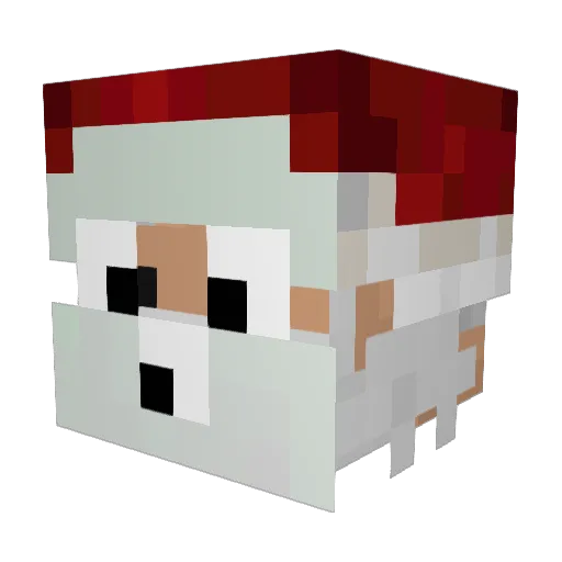 seann_1124 Minecraft avatar head, 3D render