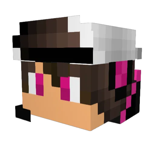 seanp2004 Minecraft avatar head, 3D render