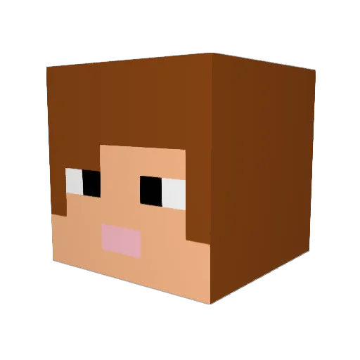 seanyb1 Minecraft avatar head, 3D render