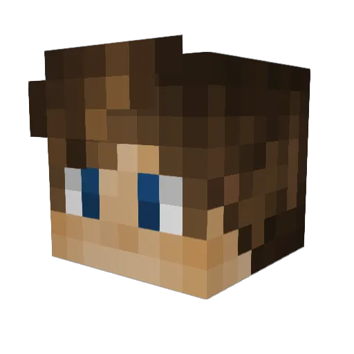 seanyboy1111 Minecraft avatar head, 3D render