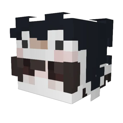seanysoul Minecraft avatar head, 3D render