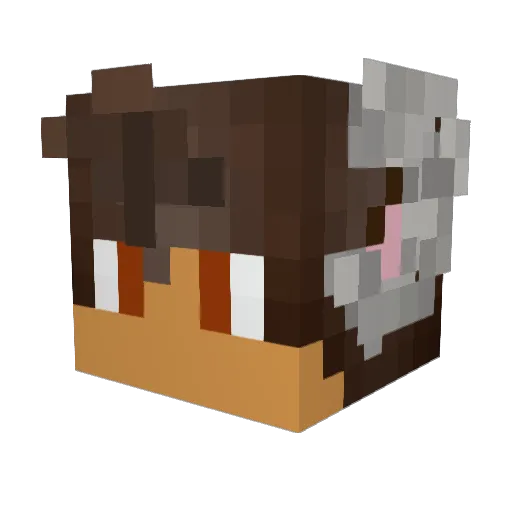 seanzyseanzy Minecraft avatar head, 3D render