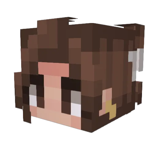 seaofbree Minecraft avatar head, 3D render