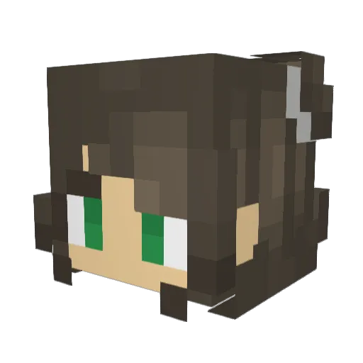 seaotter69 Minecraft avatar head, 3D render