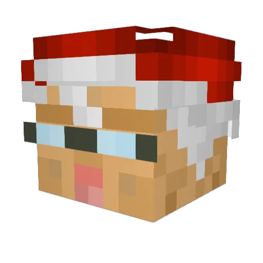 seasidebee Minecraft avatar head, 3D render