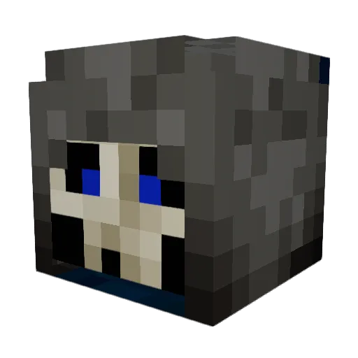 seasky02 Minecraft avatar head, 3D render
