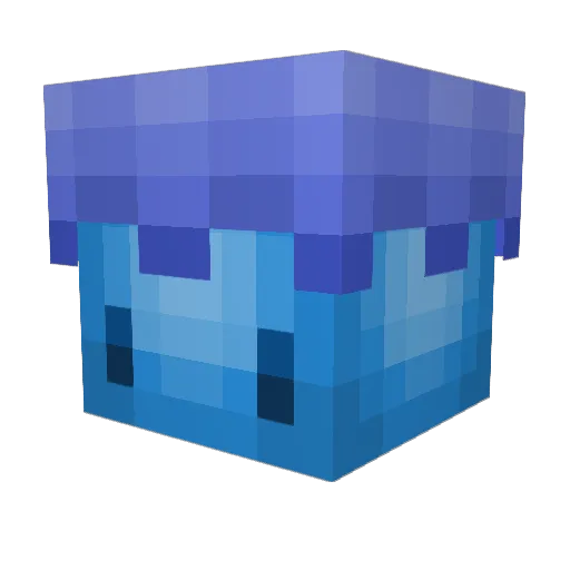 seasquab Minecraft avatar head, 3D render