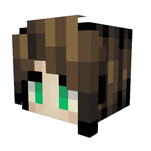 seatrucker19 Minecraft avatar head, 3D render
