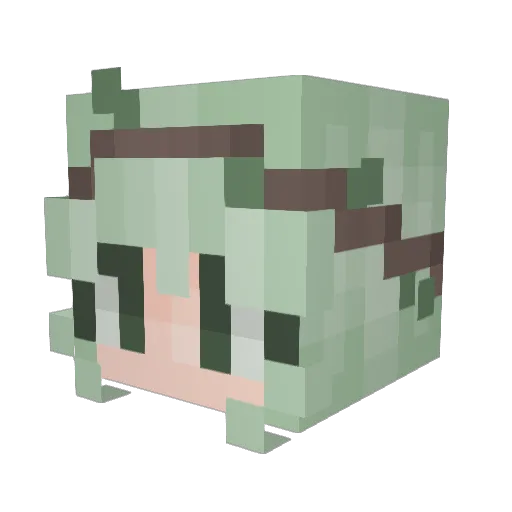 seaweed4444 Minecraft avatar head, 3D render