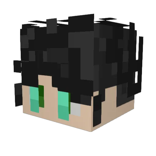 seaweed_brain_ Minecraft avatar head, 3D render