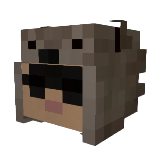 seba1012 Minecraft avatar head, 3D render