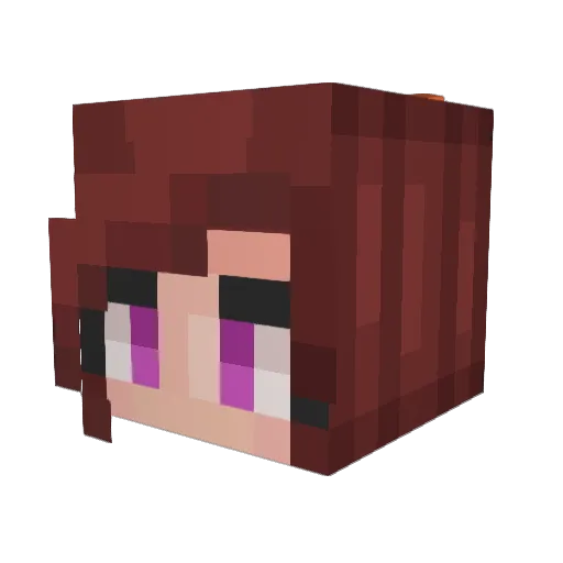 seba222 Minecraft avatar head, 3D render