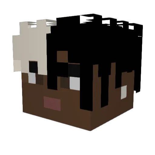 seba4_7 Minecraft avatar head, 3D render
