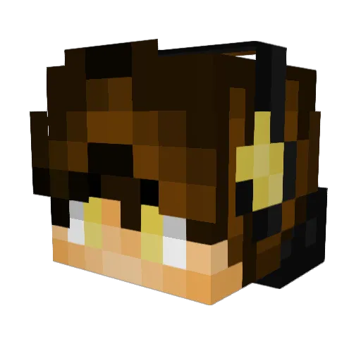 sebapro999 Minecraft avatar head, 3D render